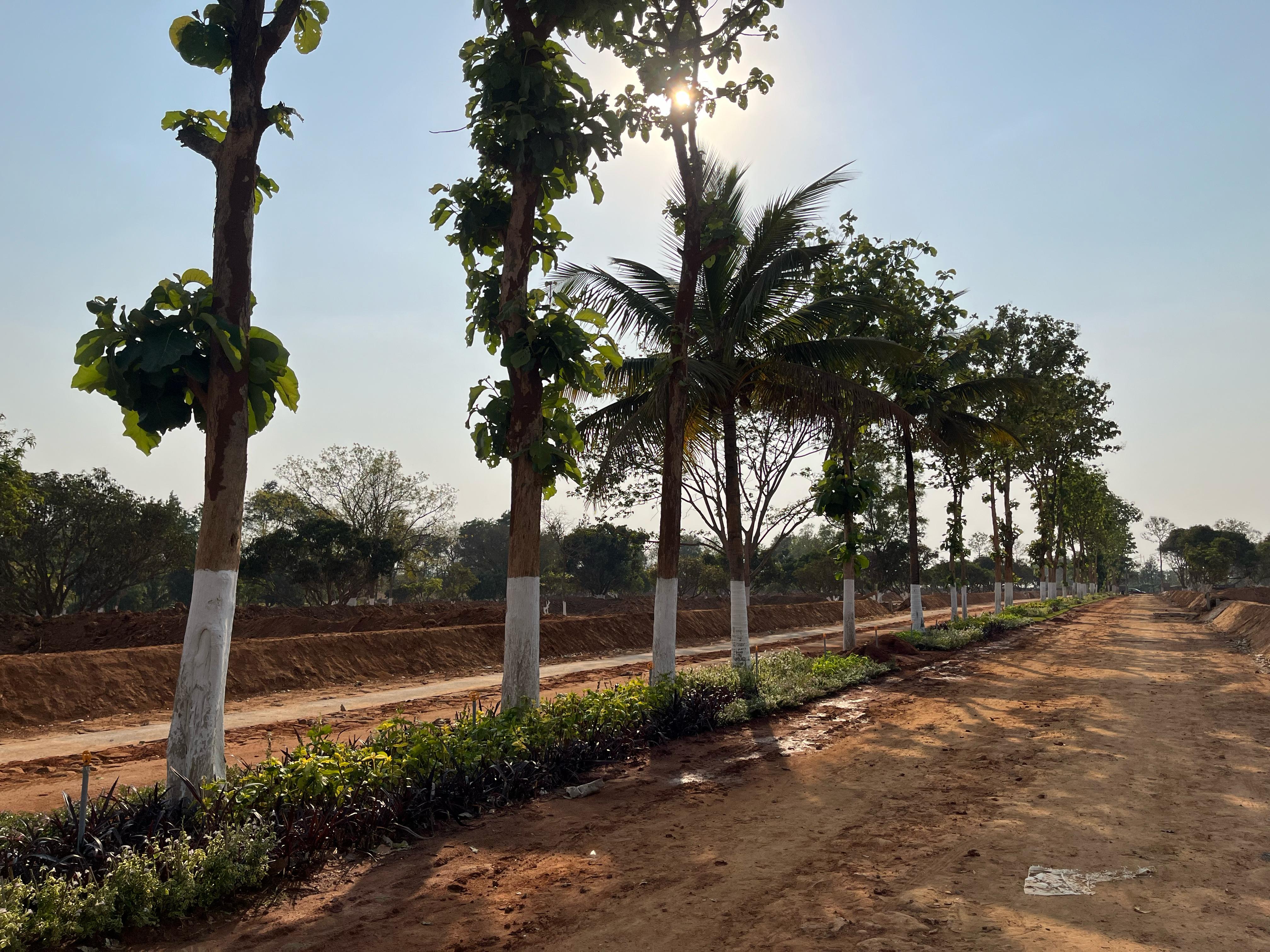 honnaru farms